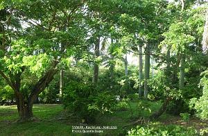 Kaohsiung 023